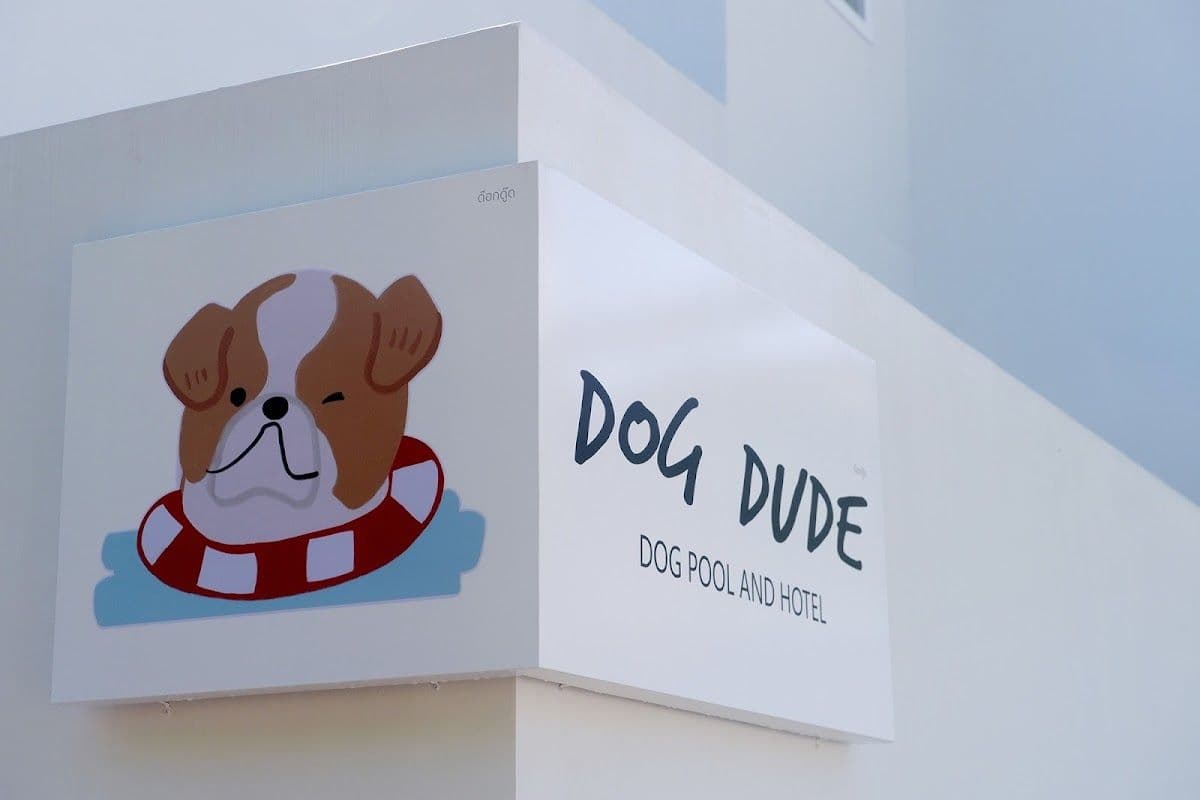 Dog Dude