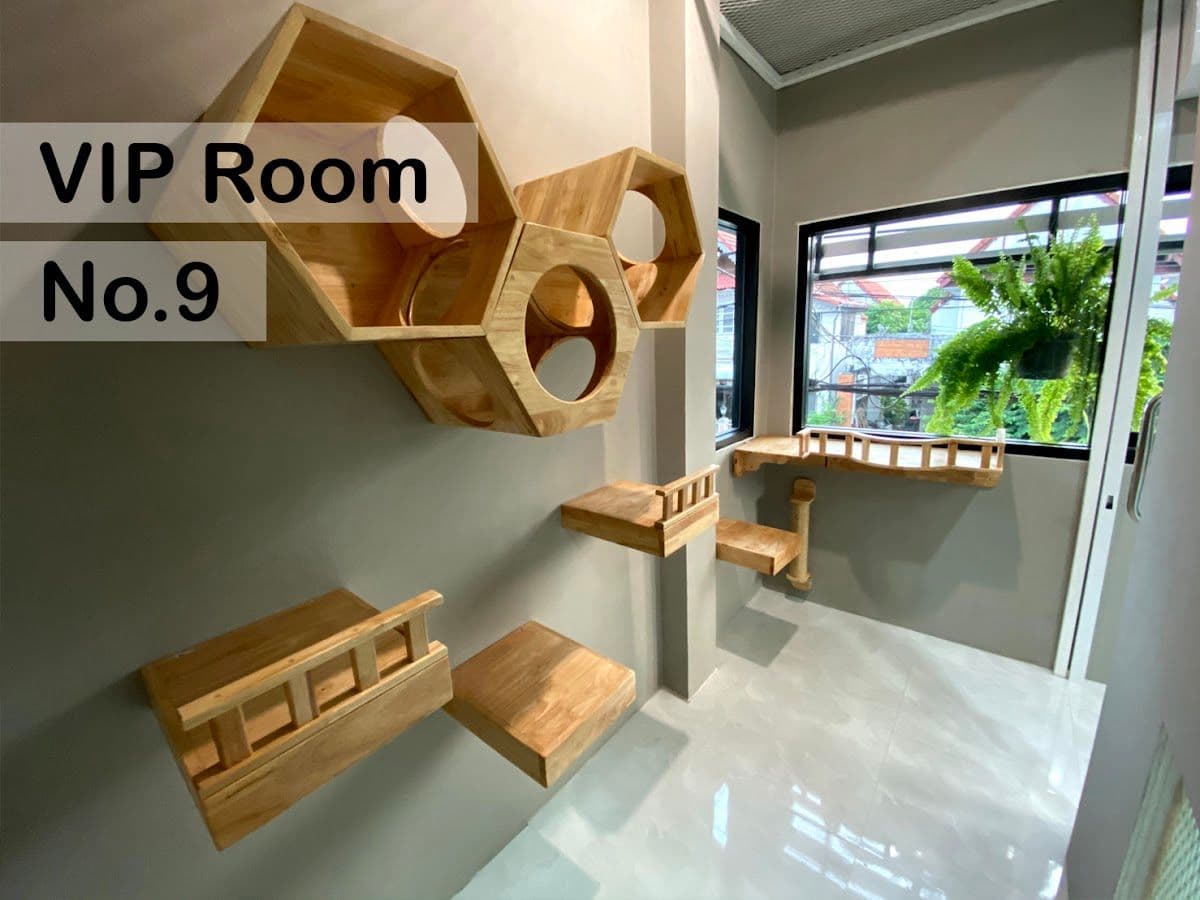 โรงแรมแมว หน้าแมว gallery 6