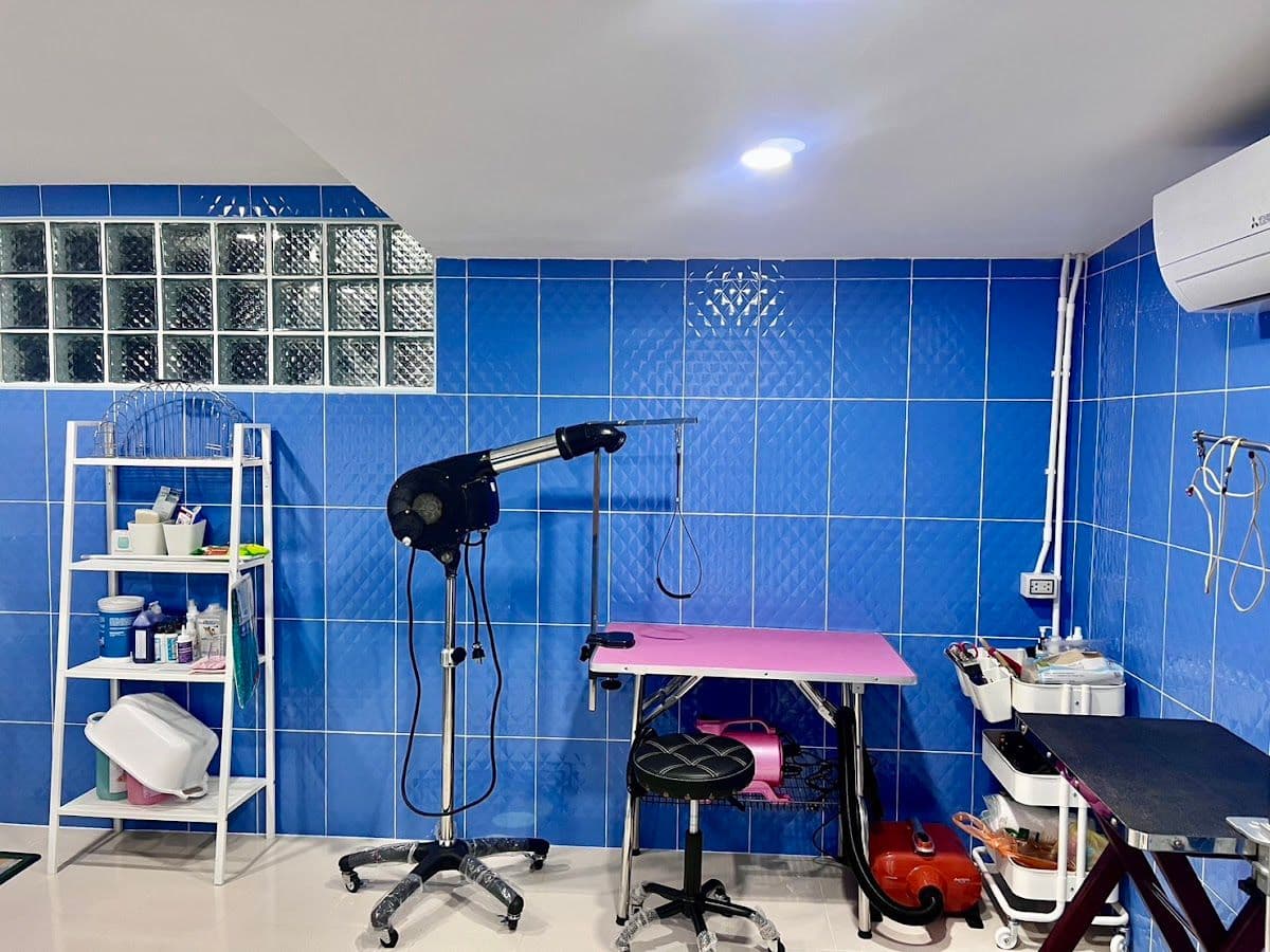 MAKA Petshop & Grooming gallery 7