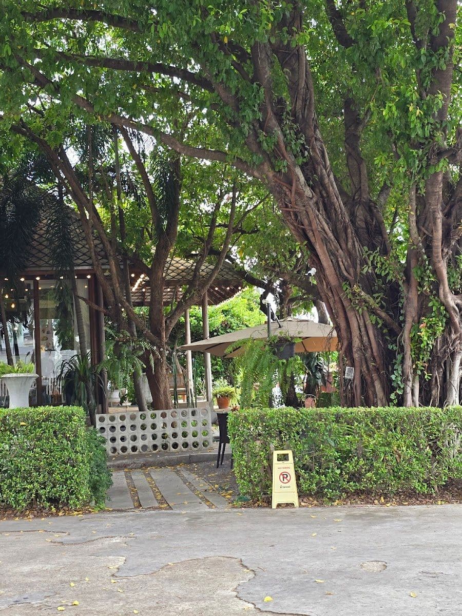 The Glasshouse Cafe gallery 8