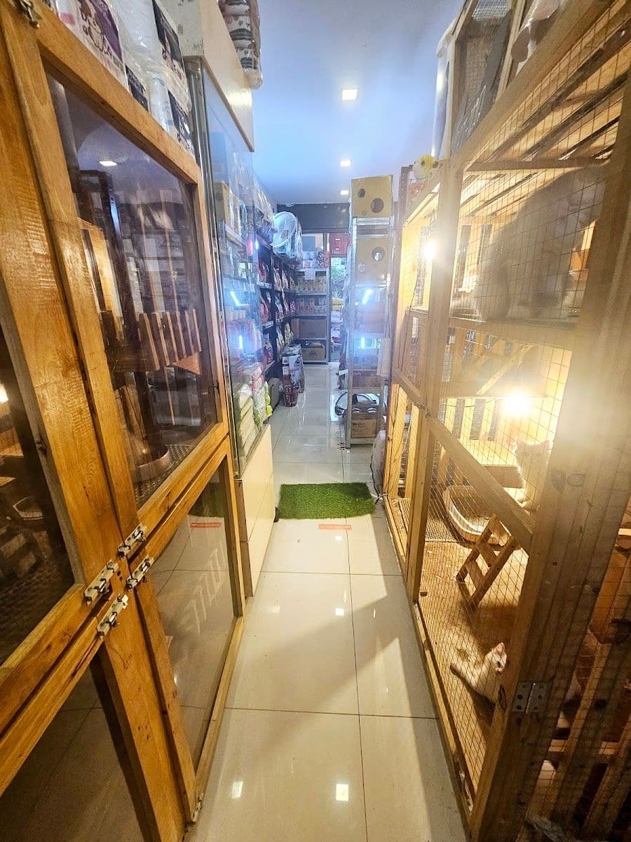 PETClub Family gallery 4