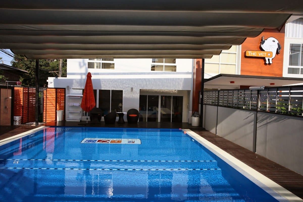 โรงพยาบาลสัตว์เดอะเวท gallery 5