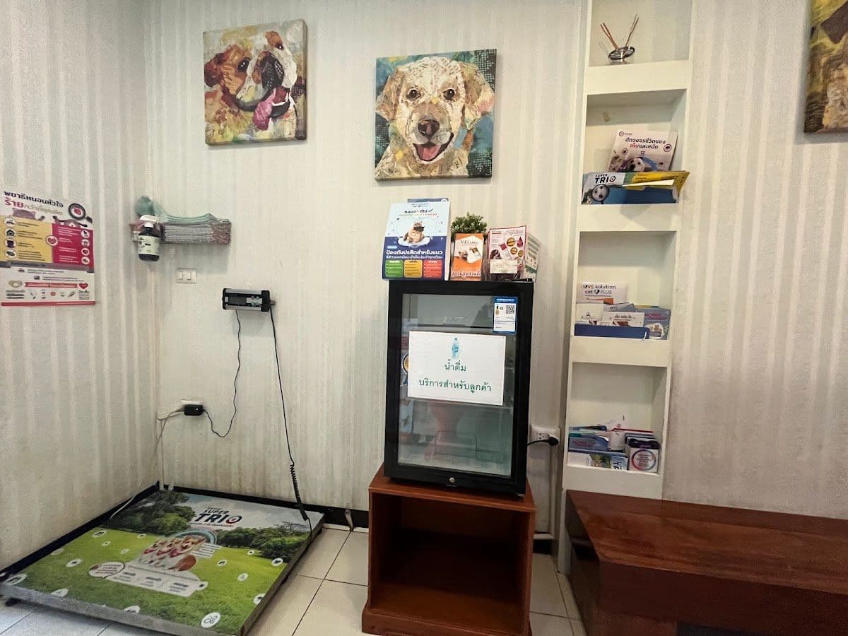 โรงพยาบาลสัตว์บางกอก-รัชดา gallery 6