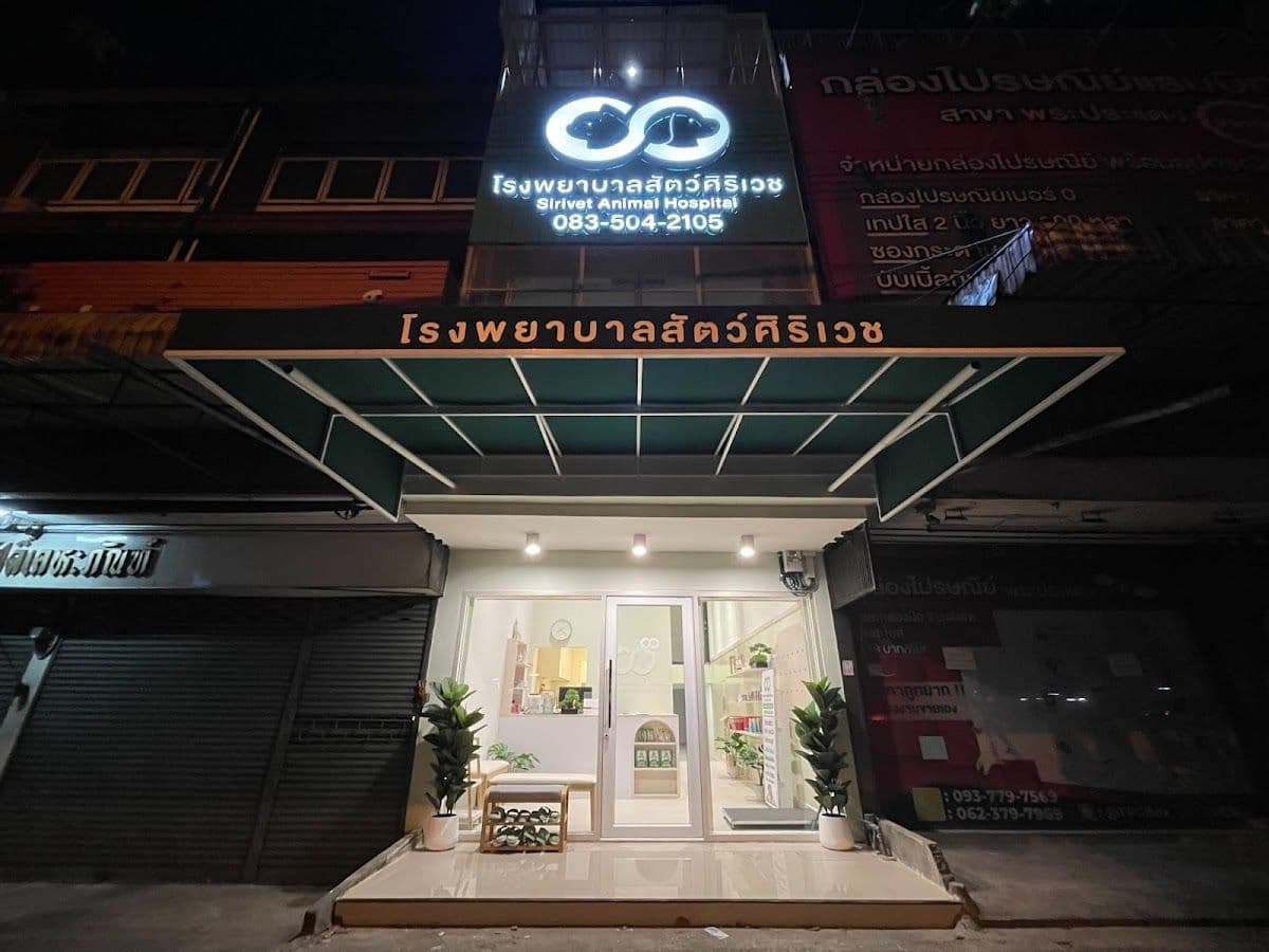 โรงพยาบาลสัตว์ศิริเวช สาขาสุขสวัสดิ์ gallery 6