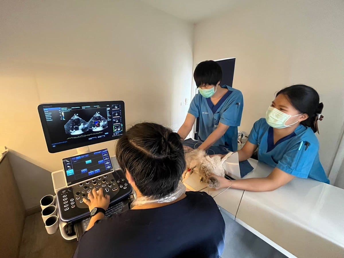 Petsiamparkclinic gallery 6
