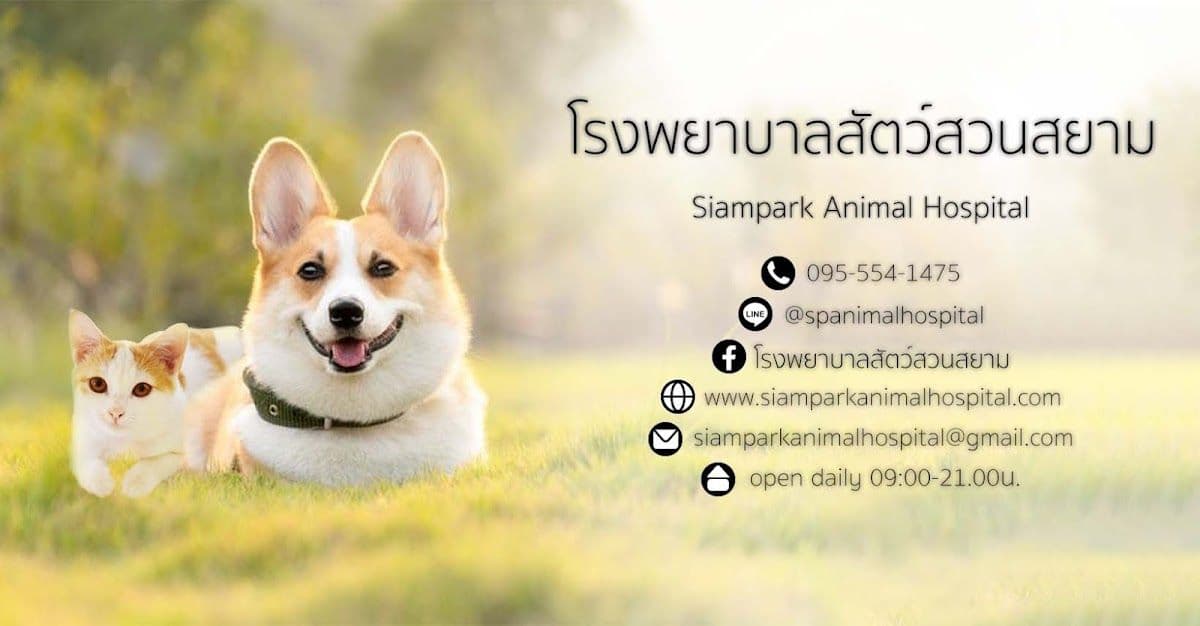 Petsiamparkclinic