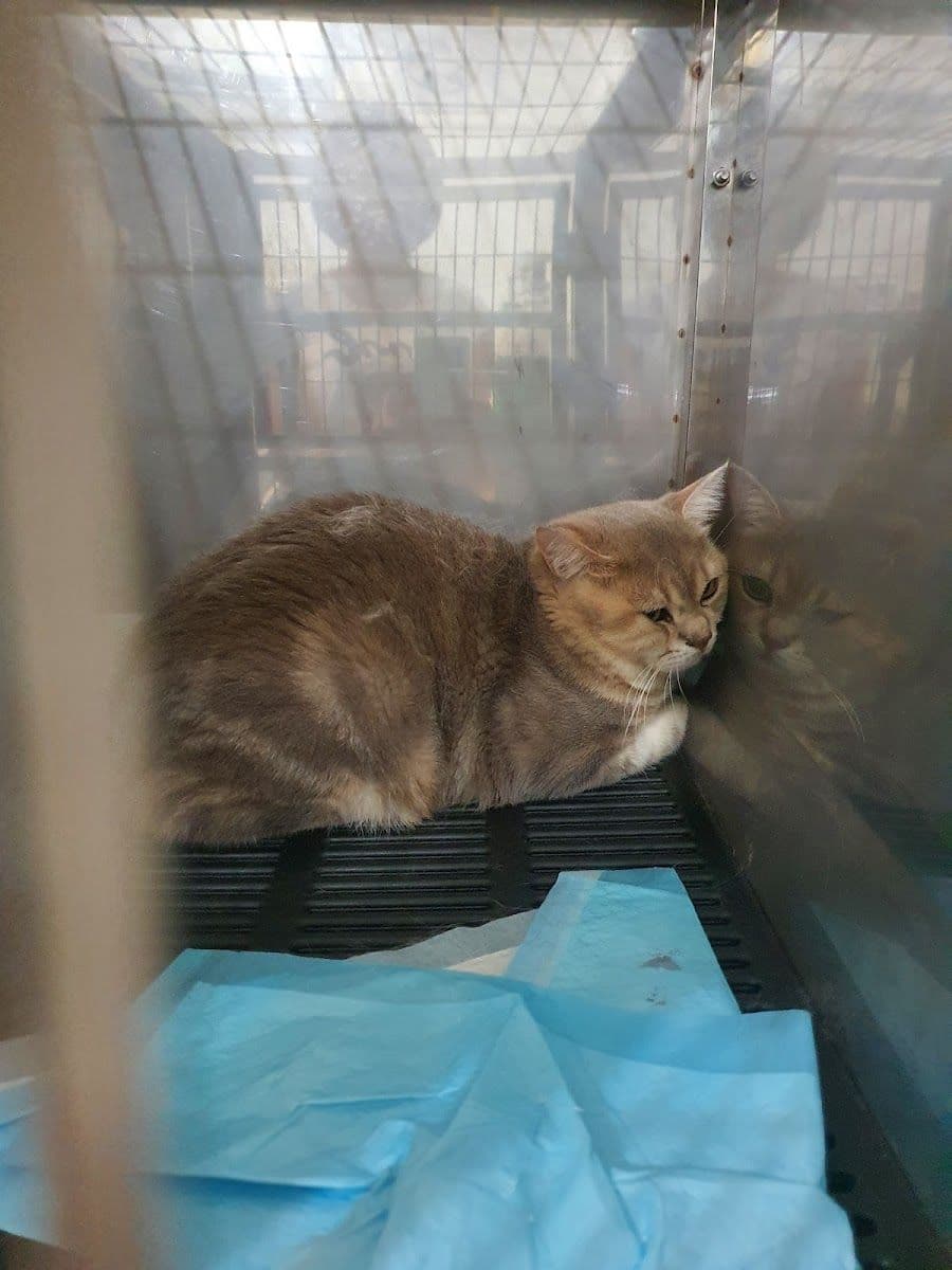 Thegarden Pet Clinic gallery 4