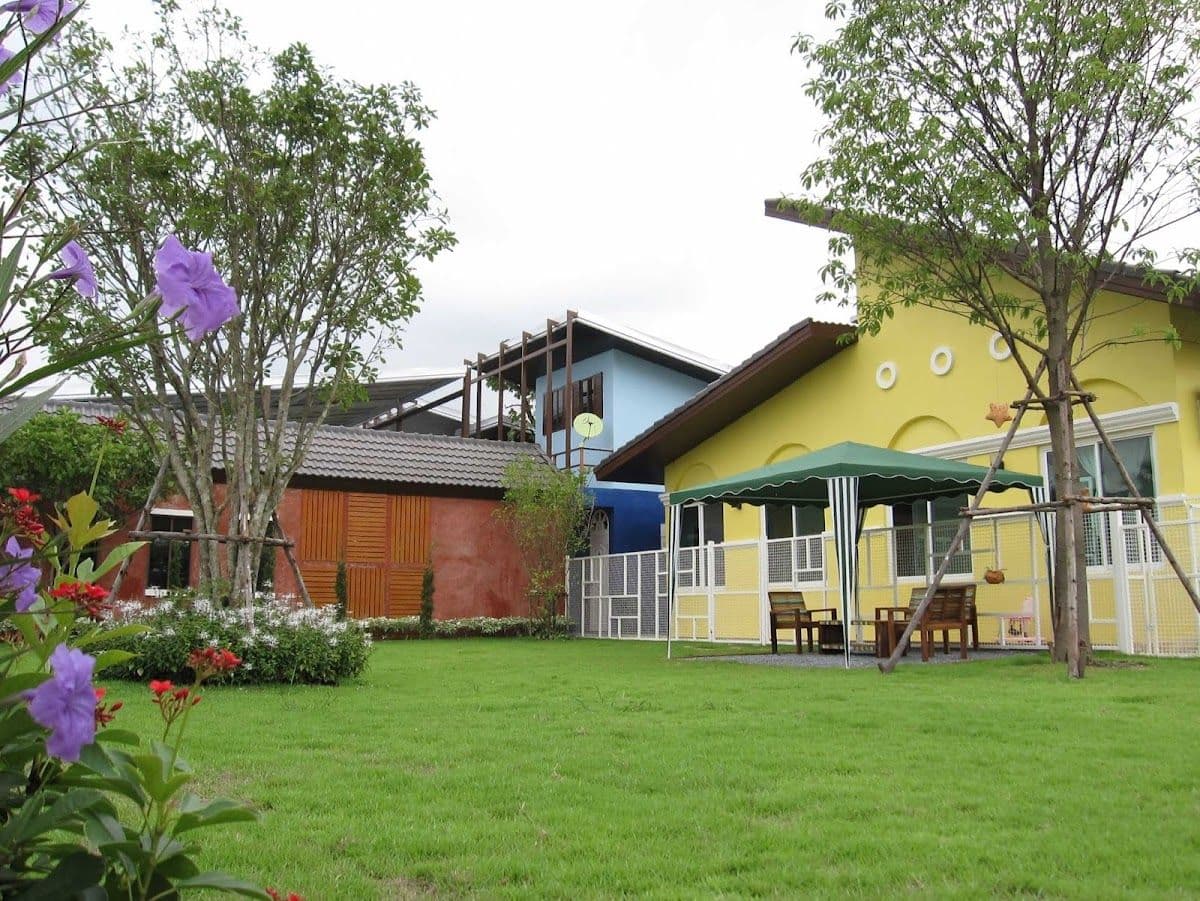 Cotton Dog Resort and Care gallery 8