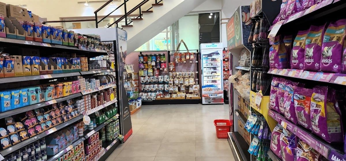 PET KINGDOM ถนนราชพฤกษ์ gallery 6