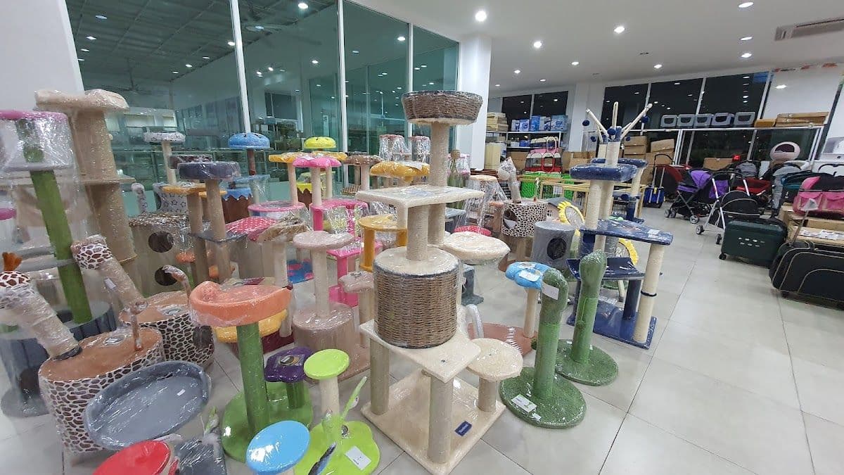 PET KINGDOM ถนนราชพฤกษ์ gallery 5