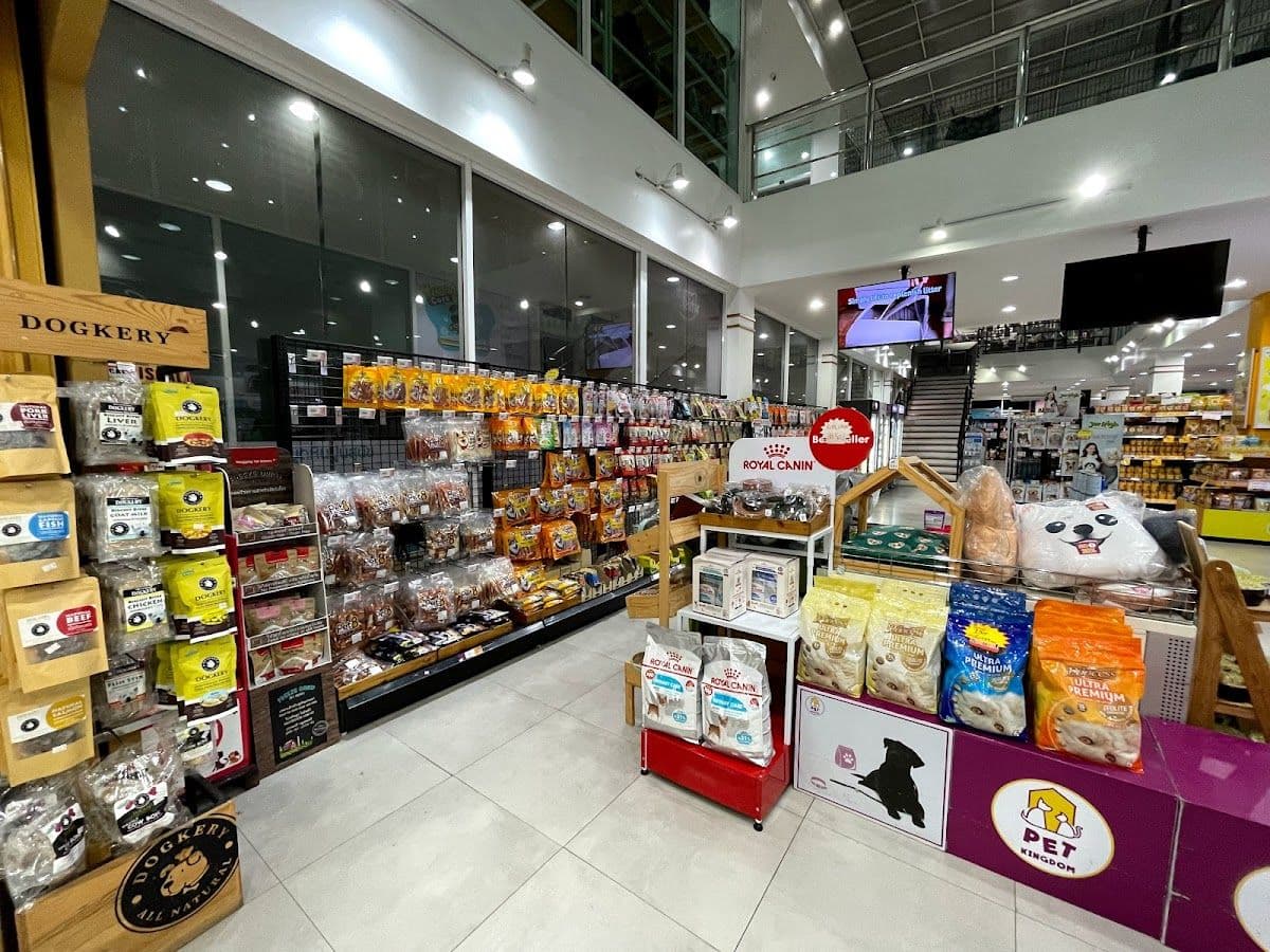 PET KINGDOM ถนนราชพฤกษ์ gallery 7