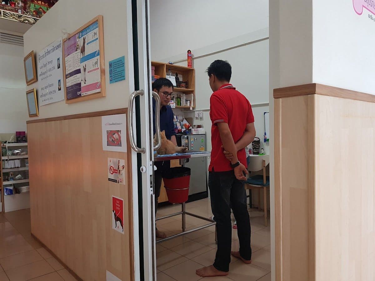 MEESUK PET HOSPITAL Ekachai-Bangbon gallery 7