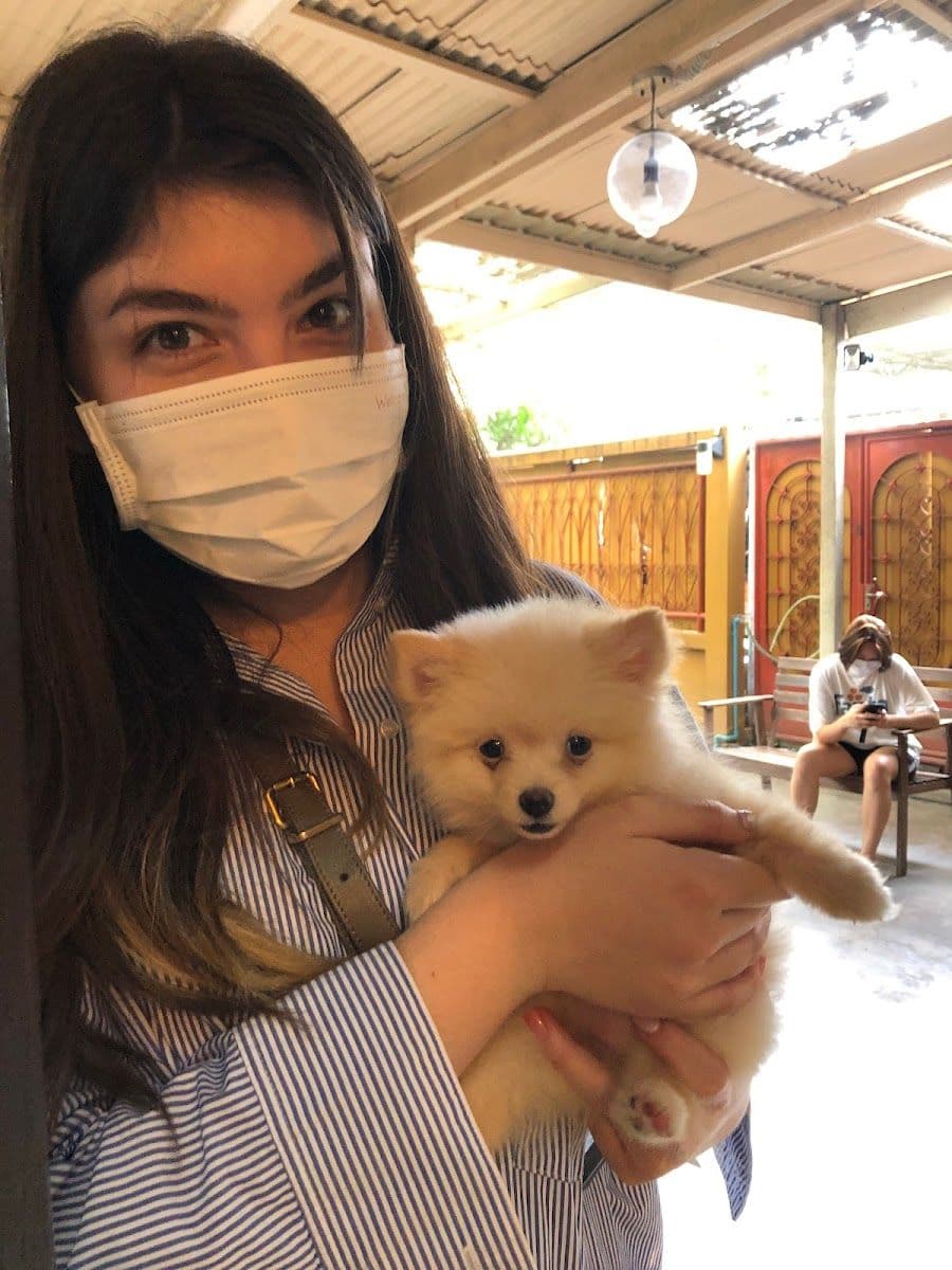 หมอเดียวใจดีสัตวแพทย์ image 3