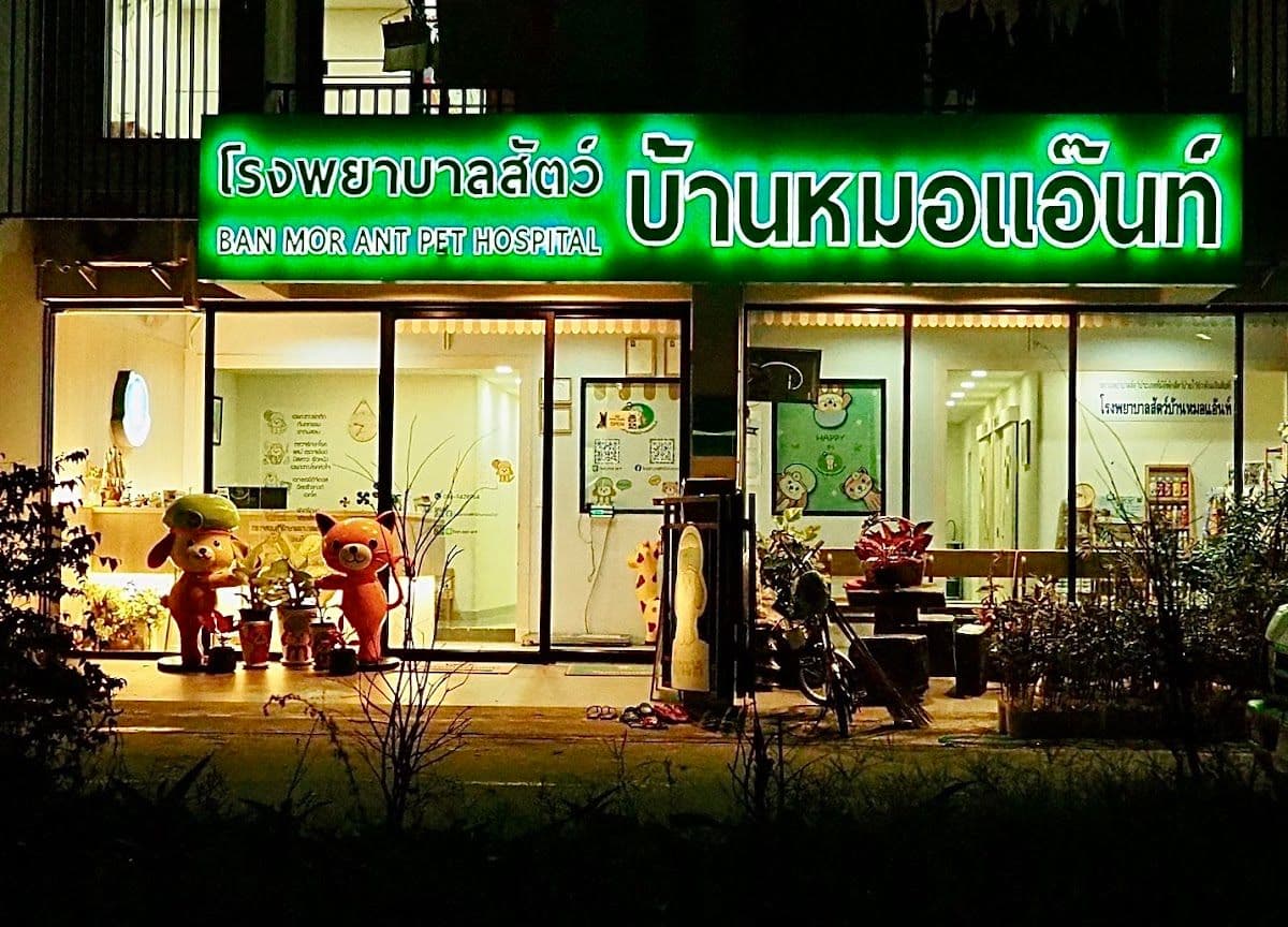 โรงพยาบาลสัตว์บ้านหมอแอ๊นท์