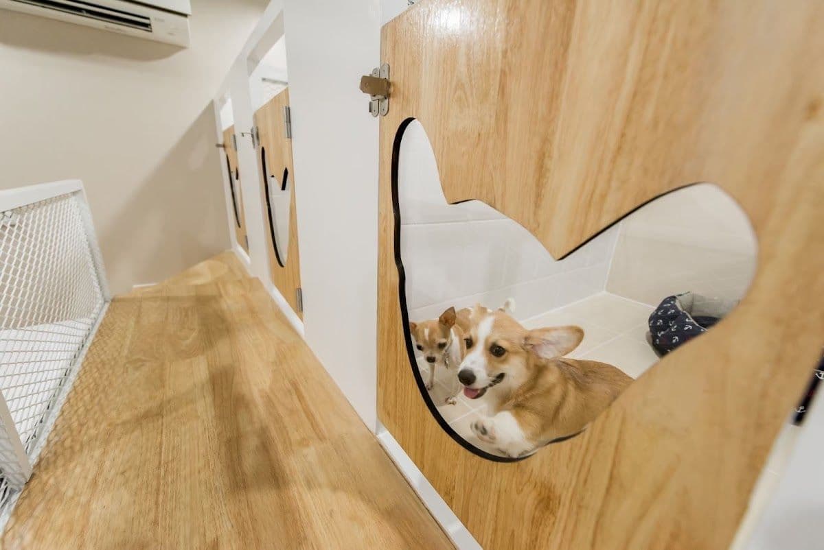 Dog House (ชัยพฤกษ์) gallery 4