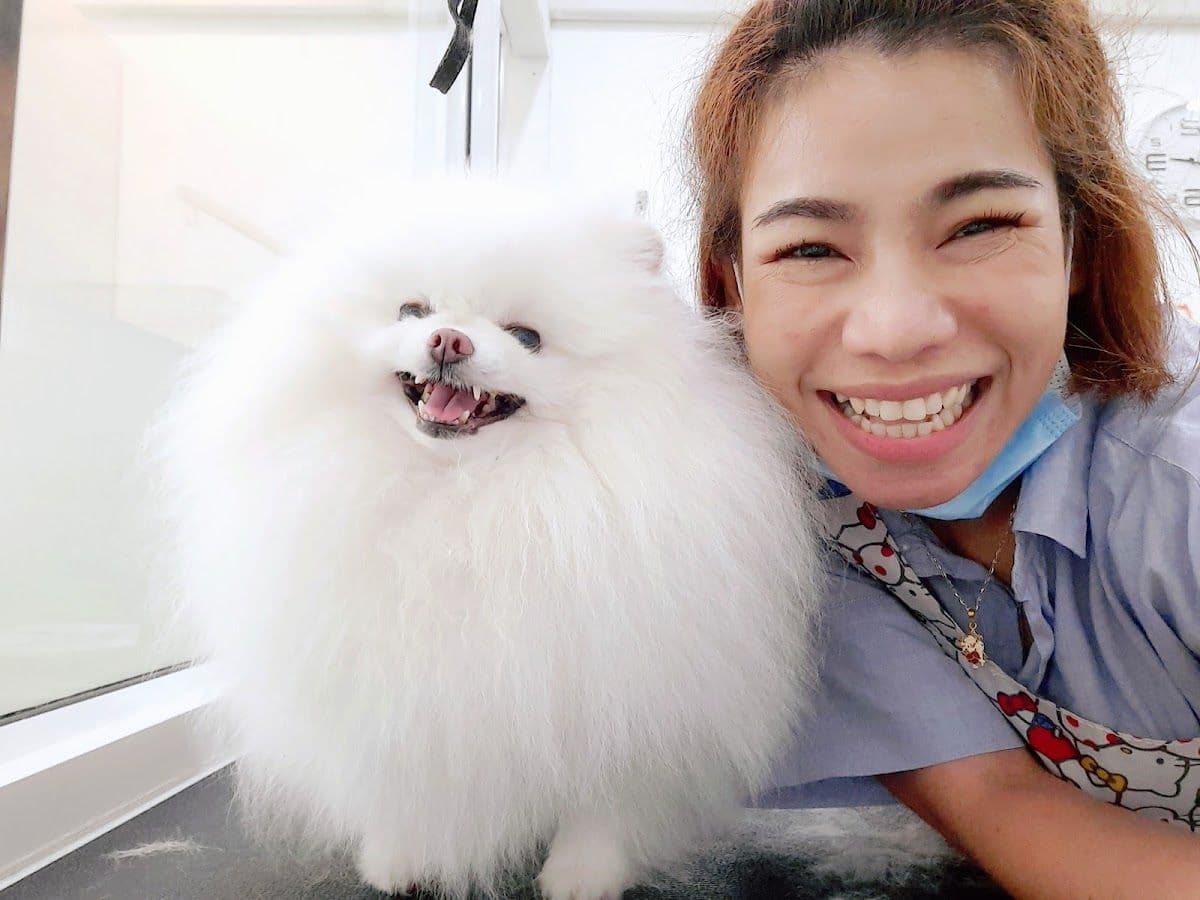 Pet Grooming by ช่างแหม่ม gallery 5
