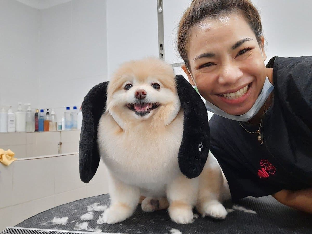 Pet Grooming by ช่างแหม่ม gallery 4