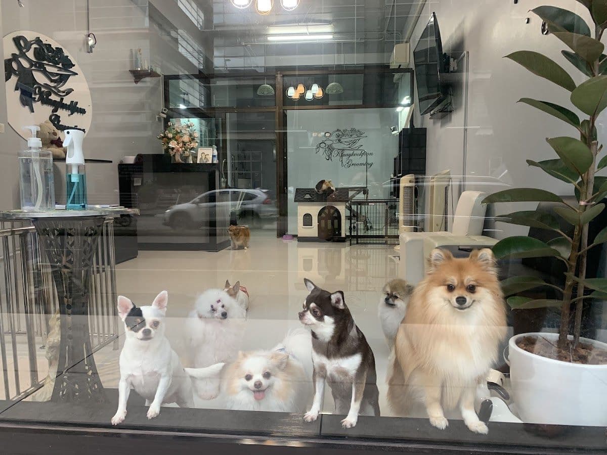 Kluaykookfoon Grooming gallery 4