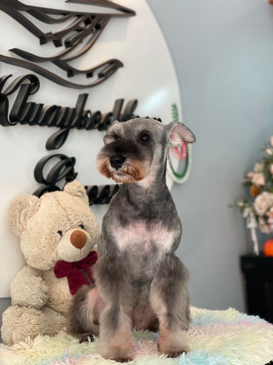Kluaykookfoon Grooming