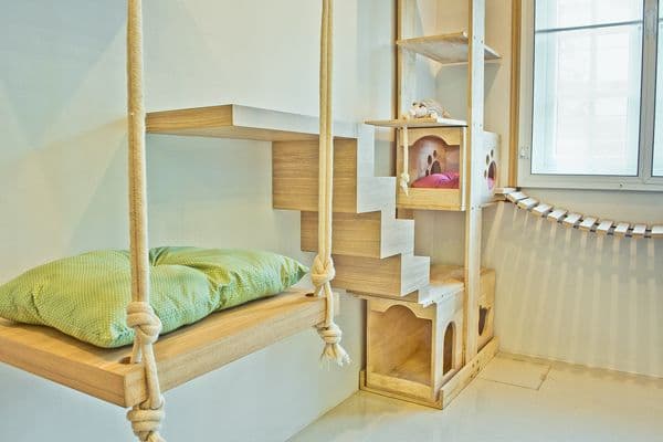 Neko Luxury Cat Hotel gallery 9