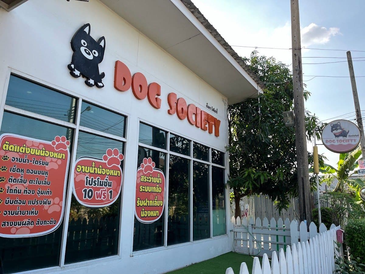 Dog Society