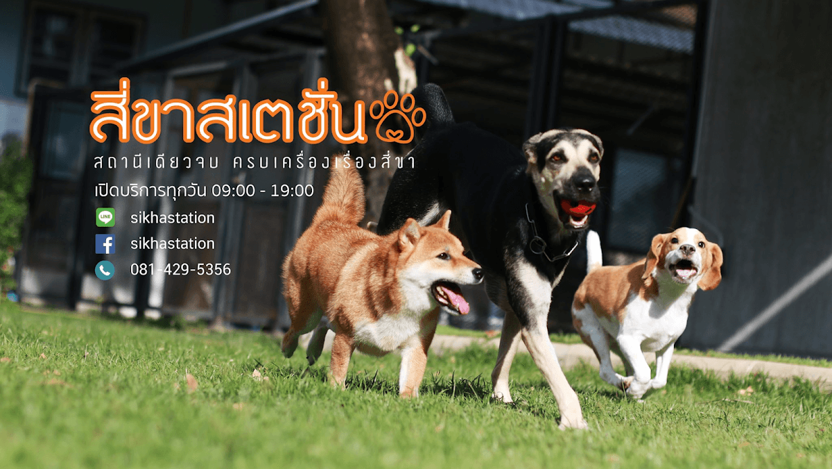 สี่ขาสเตชั่น image 3