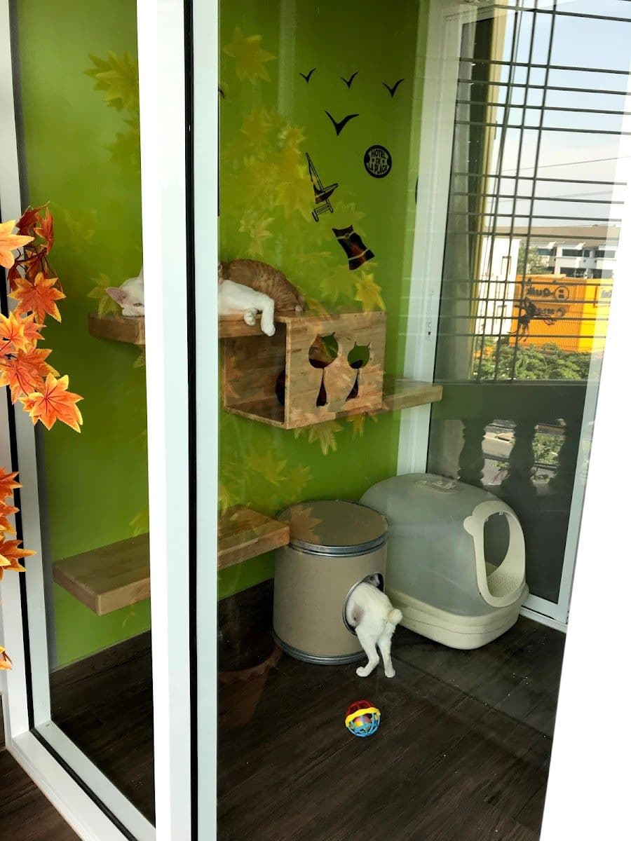 Big Cat Hotel image 3