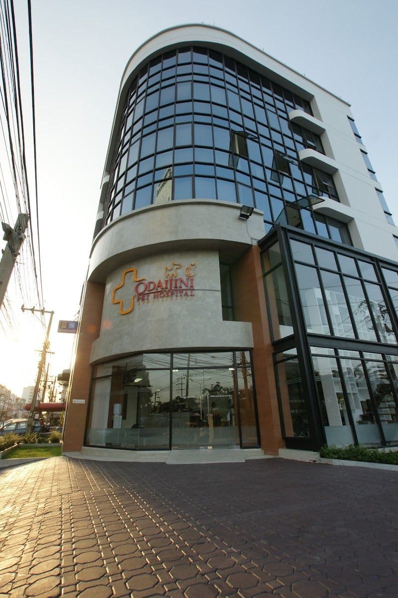 โรงพยาบาลสัตว์โอะไดจินิ สาขารามอินทรา gallery 4