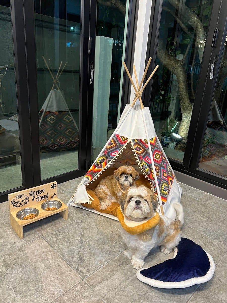 Happy doggie by meiji gallery 4