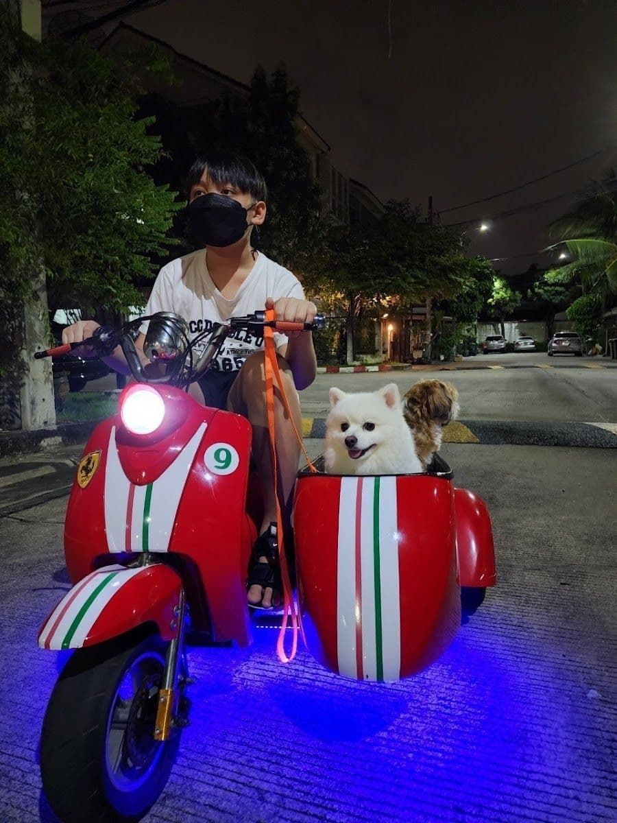Happy doggie by meiji gallery 6