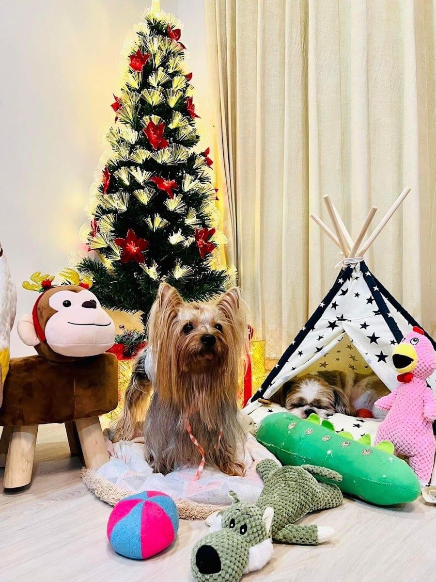 Happy doggie by meiji gallery 7