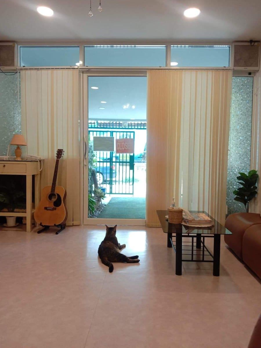 Happy Land Cat Hotel 669 gallery 4