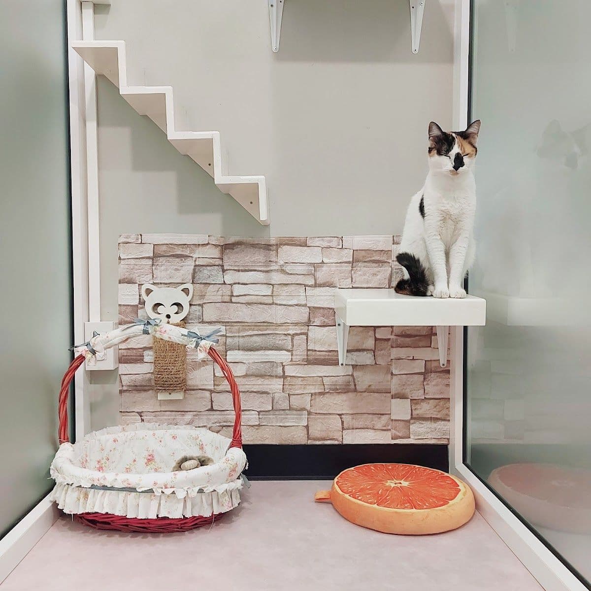 Happy Land Cat Hotel 669 image 2