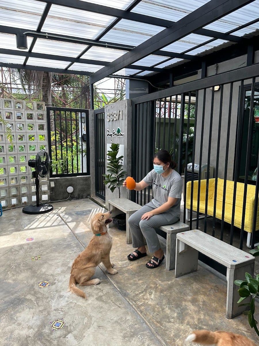 Dog Garden Hotel gallery 6