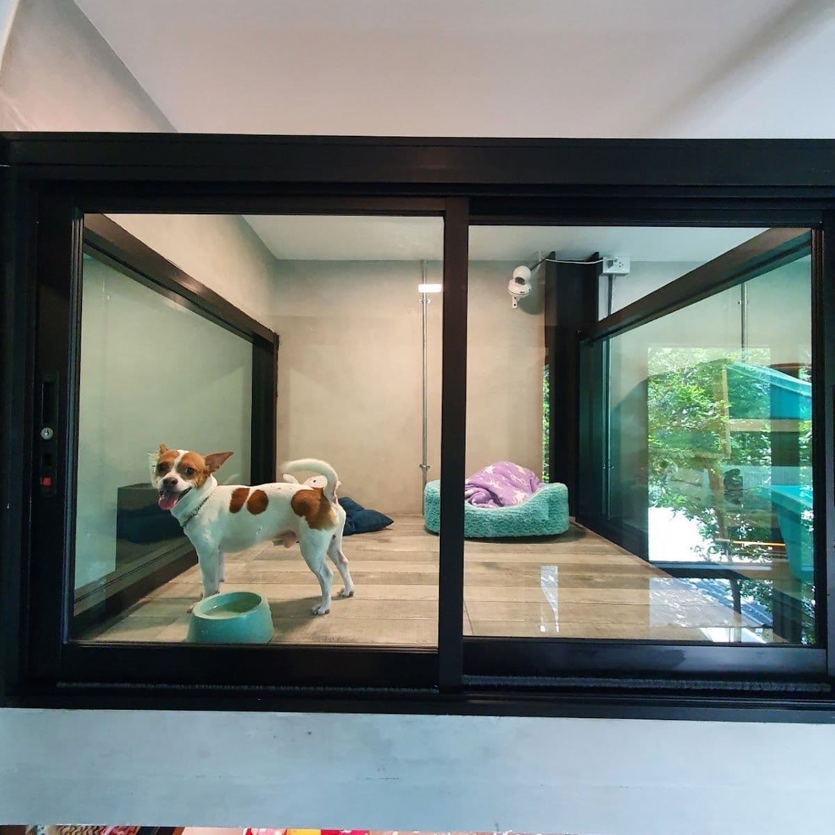 Dog Garden Hotel image 3