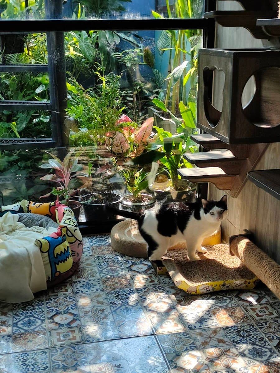 Camping Cat image 2