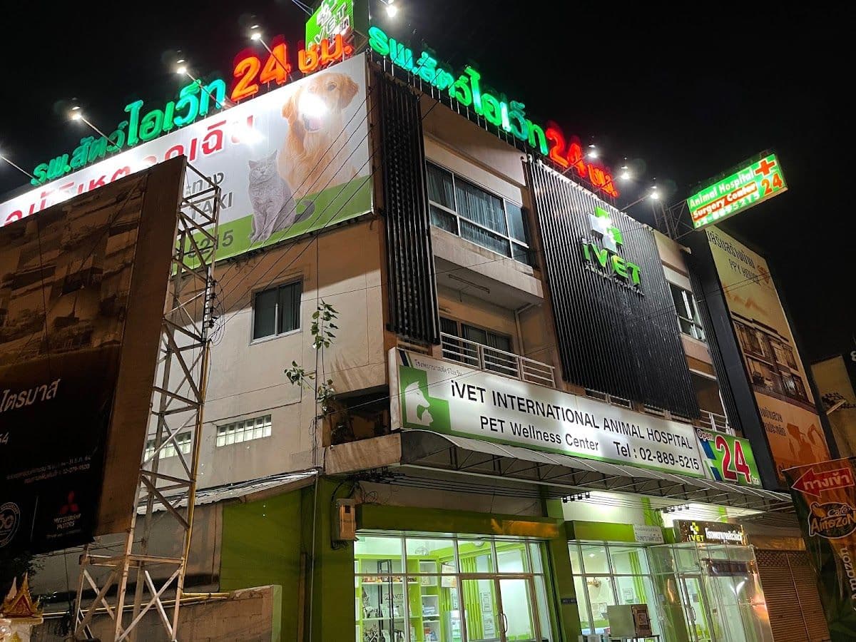 โรงพยาบาลสัตว์ไอเว็ท gallery 6
