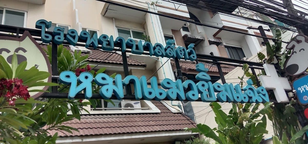 โรงพยาบาลสัตว์หมาแมวยิ้มแฉ่ง gallery 7