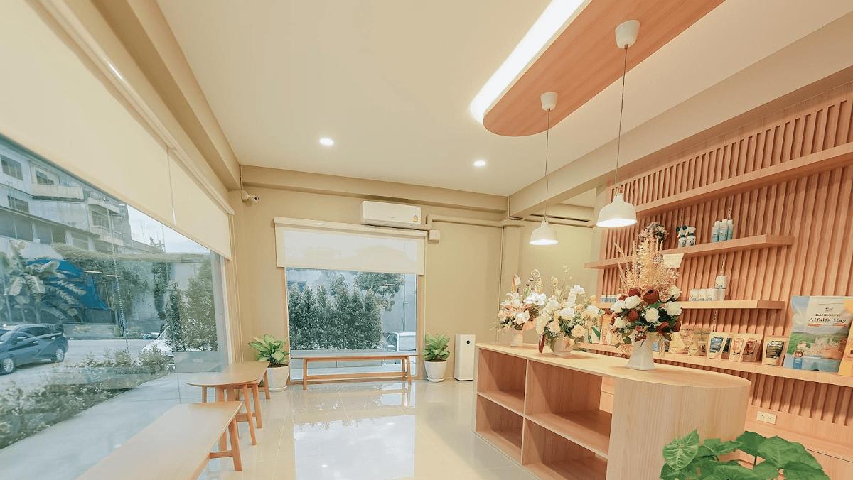 โรงพยาบาลสัตว์และสัตว์พิเศษออลเพ็ท image 2