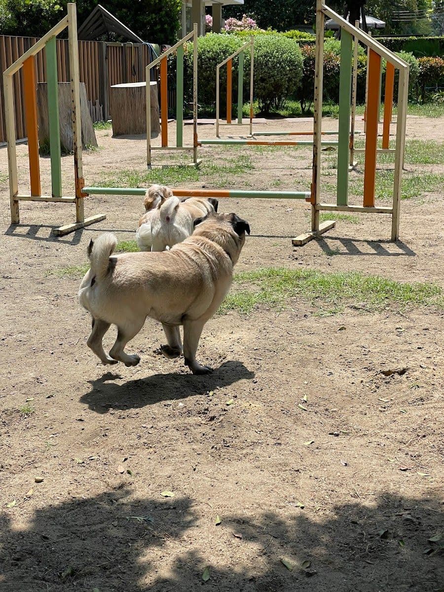 Trail and Tail gallery 4