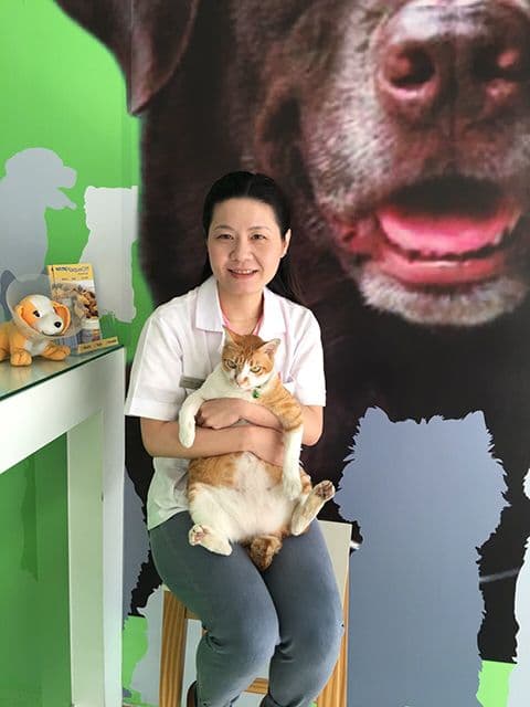 Animal Farm Veterinary Hospital image 3