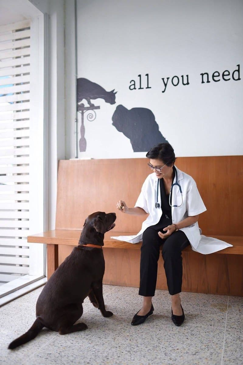 Animal Farm Veterinary Hospital gallery 6