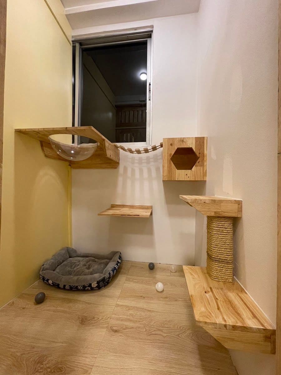 Taofak Cat Hotel gallery 9