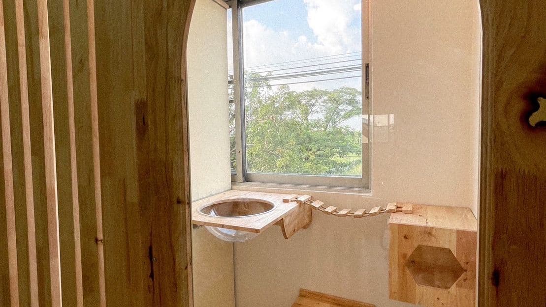 Taofak Cat Hotel image 2