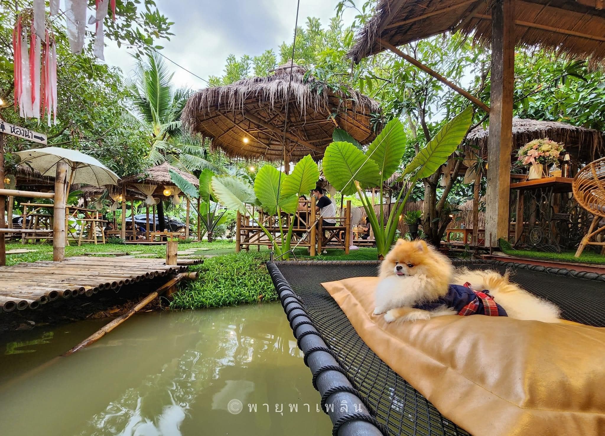 มอระดก คาเฟ่ image 2