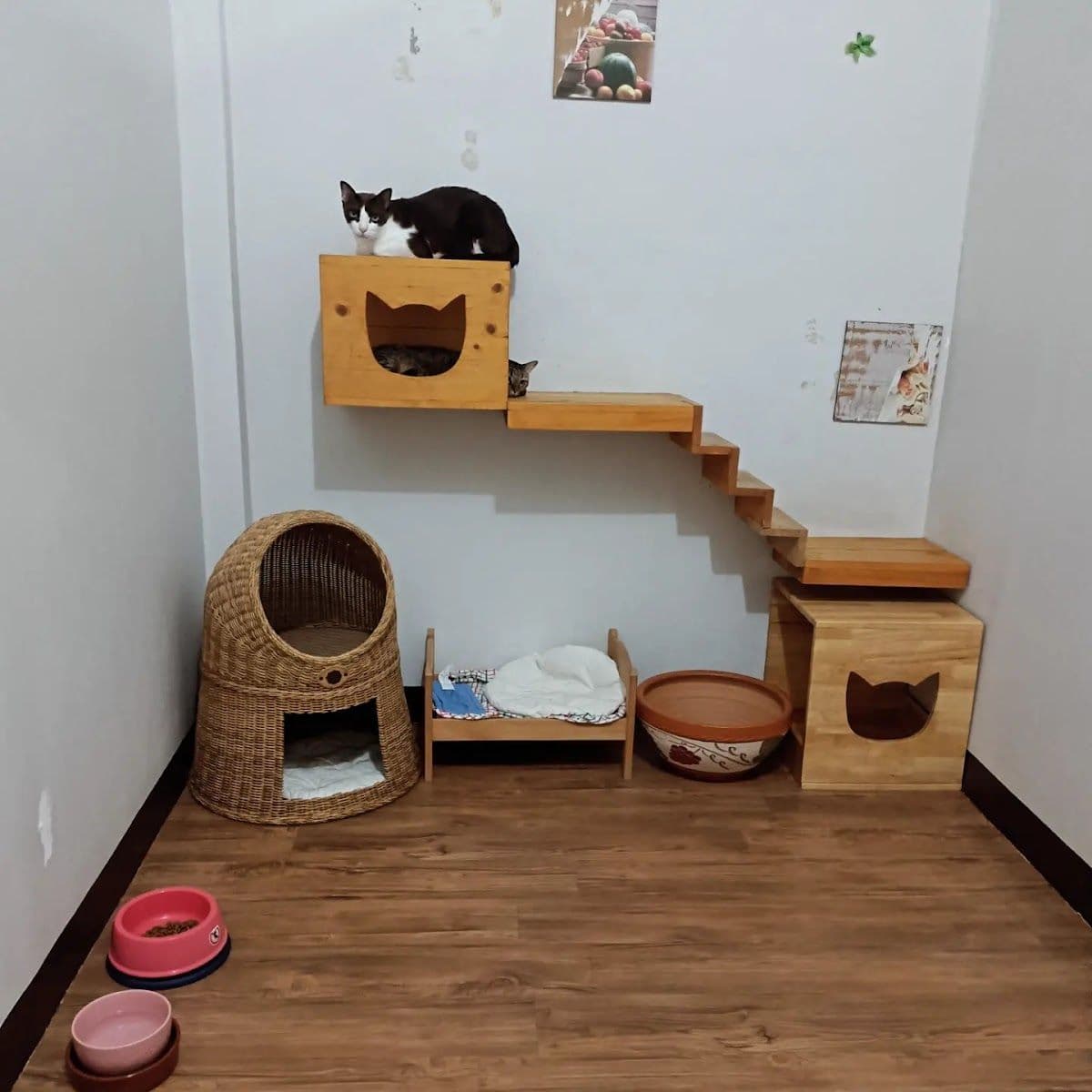 PaoCat Hotel gallery 6
