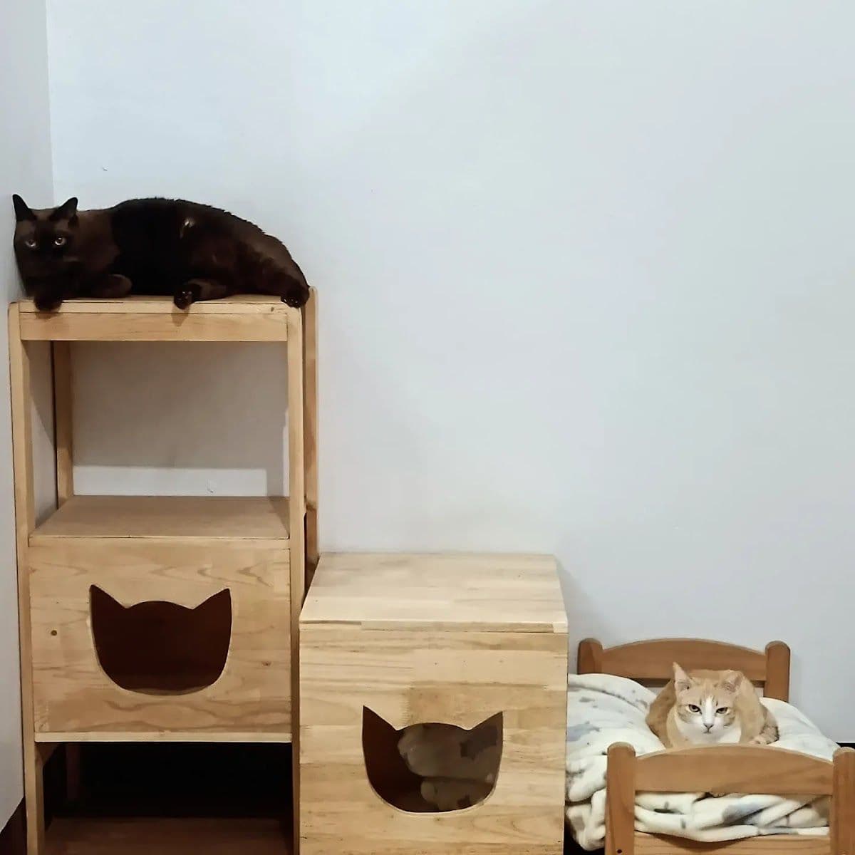 PaoCat Hotel gallery 8