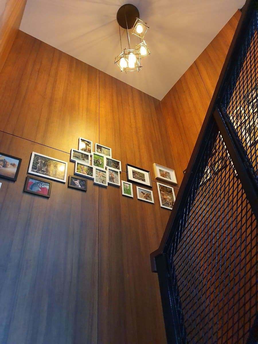 Bok Box Curry and Coffee gallery 10