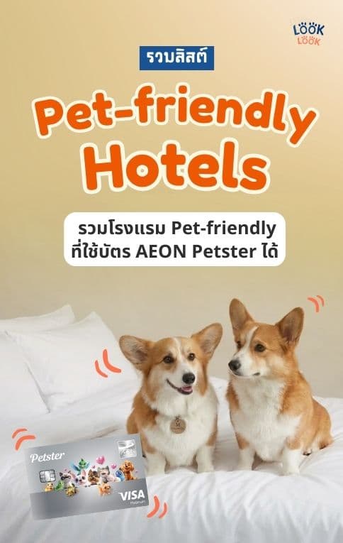 CENTRAL WESTVILLE PET FRIENDLY