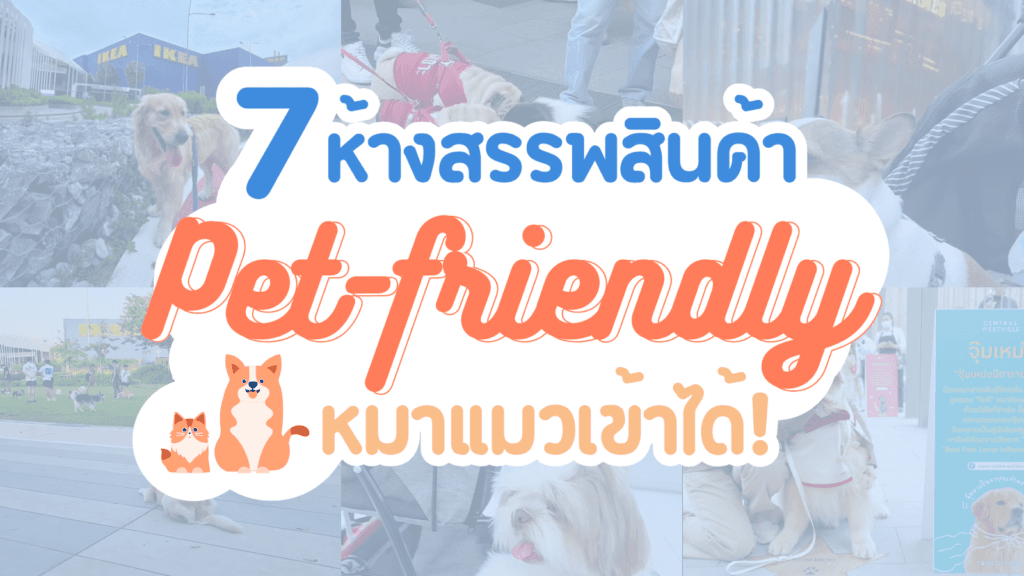 ห้างฯ Pet Friendly ที่ทาสหมาทาสแมวไม่ควรพลาด 🐾